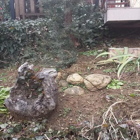 Leganyi Apartmanhaz * אגר